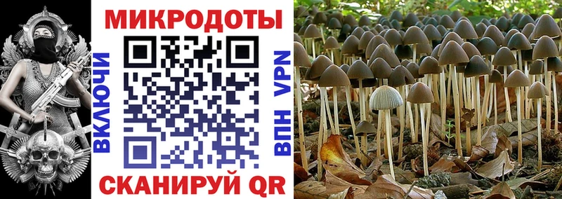 Псилоцибиновые грибы мицелий  Кропоткин 